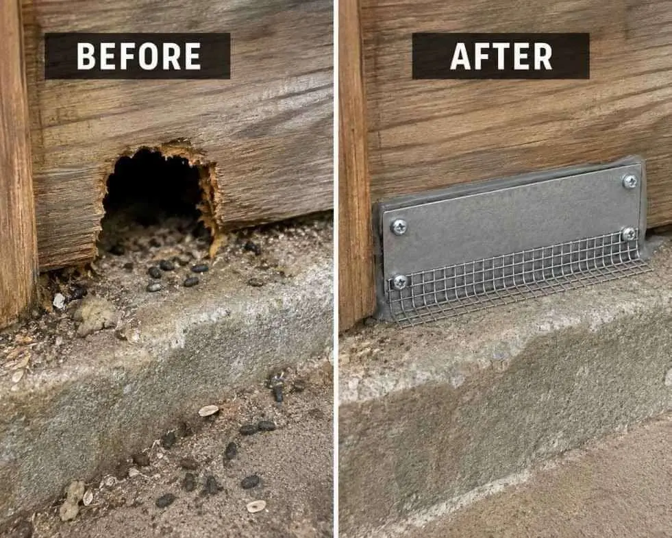 Before and after photo of a Truckee crawl space sealed and encapsulated to block rodent entry points